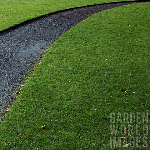 CURVED_PATH_THROUGH_LAWN_IN_A_LATE_AUTUMN_GARDEN_IN_NOVEMBER