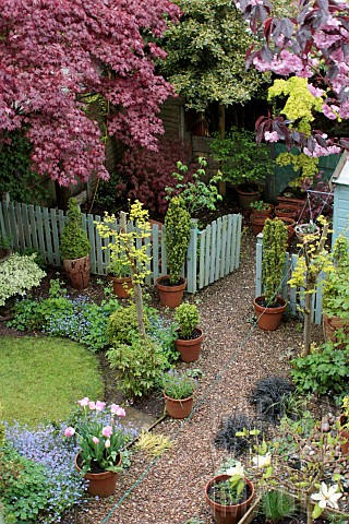 View_of_Photograhers_garden_from_above_in_Spring
