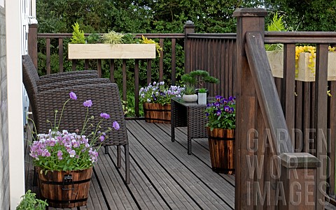 Decking_area_containers_including_wood_planters_holding_shrubs_perennials_and_annual_flowers