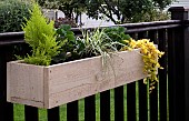 Decking area containers including wood planters holding shrubs perennials and annual flowers