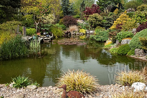 Pond_with_decking