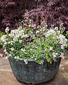 Large bowl shaped metal container with colour co-ordinated flowers