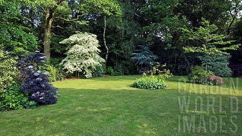 Large_lawn_with_borders_of_mature_trees_and_shrubs_at_Midwinters_Garden_Chorley_Village_Open_Gardens