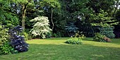 Large lawn with borders of mature trees and shrubs at Midwinters Garden Chorley Village Open Gardens in Shropshire