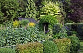 Vegetable garden surrounded by mature hedges and trees at Midwinters Garden Chorley Village Open Gardens in Shropshire
