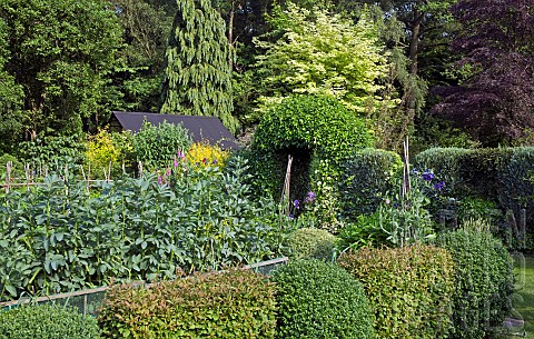 Vegetable_garden_surrounded_by_mature_hedges_and_trees_at_Midwinters_Garden_Chorley_Village_Open_Gar