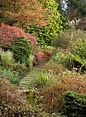 Dorothy Clive Garden in Autumn mature trees and shrubs with brick path