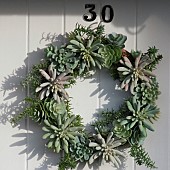 Front Door Wreath from living succulent plants