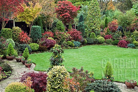 Acers_and_many_deciduous_trees_and_shrubs