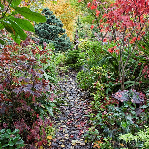 Leaf_carpeted_path_in_Japenese_garden