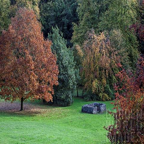 Mature_trees_in_Autumn_colour