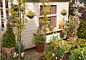 Spring Flowers and Foliage around Cream coloured Summerhouse