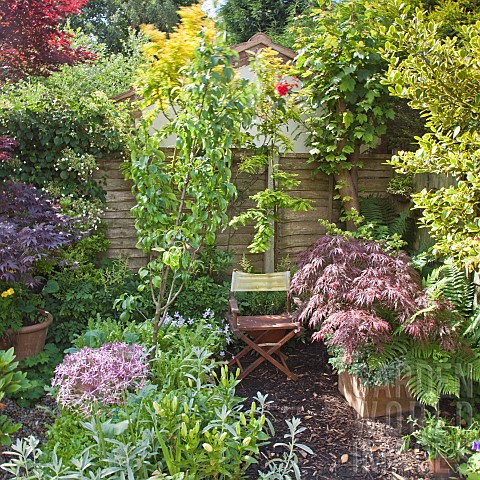 Shady_corner_High_Meadow_Garden_with_mature_trees_and_shrubs_and_containers