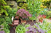 Shady corner with shrubs, herbacious perennials, mature trees and terracotta containers