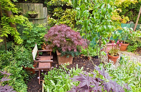 Shady_corner_with_shrubs_herbacious_perennials_mature_trees_and_terracotta_containers