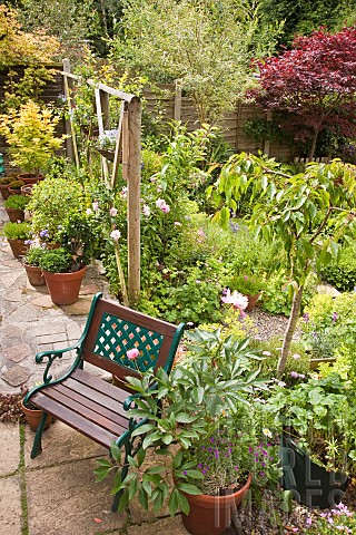 Patio_area_with_seating_containers_trellis_containers_shrubs_flowers