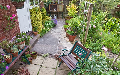Patio_area_with_seating_terracotta_containers_with_shrubs_and_summer_flowering_plants