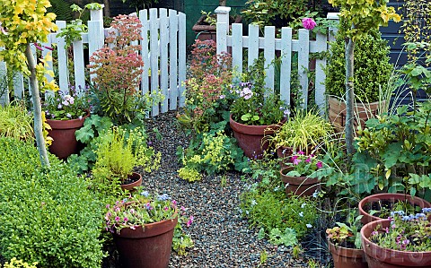 Summer_Garden_gravel_path_with_terracotta_pots_around_garden_gate
