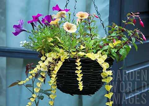 Hanging_Basket_with_a_variety_of_annuals