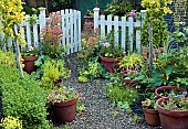 Summer Garden, gravel path with terracotta pots around garden gate
