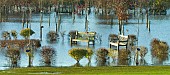 Young trees, shrubs and wooden benches submerged in flood water