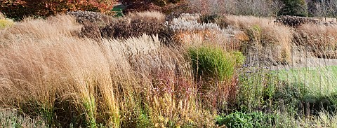 Borders_in_late_autumn_with_rich_autumnal_russet_tones