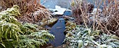 Frosts cling to foliage on pond