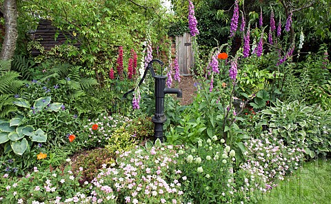 Country_cottage_garden_with_Lupins_Foxgloves_Gereaniums_and_Hosta