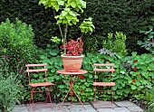 Orange red table and chairs with colour co-ordinated plant pot