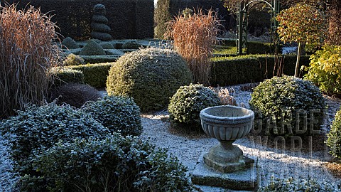 Shaped_buxus_hedging_ornate_container_in_frost