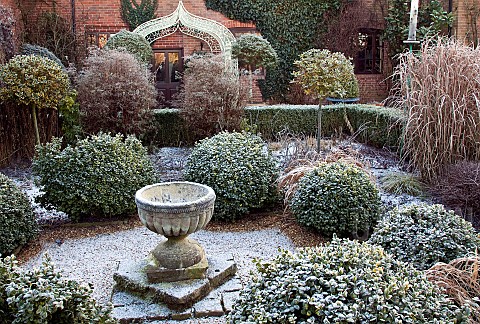 Shaped_buxus_hedging_ornate_container_in_frost