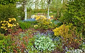 Mixed border with trees shrubs and spring flowers