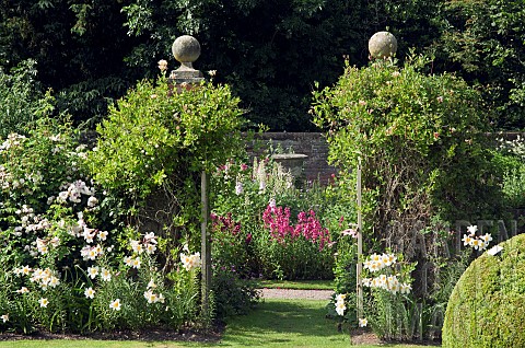 Gates_with_fragrant_climbing_Honeysuckle_Lonicera_and_Lillys_Lillium_regale