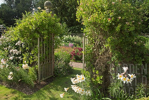 Font_garden_with_gates_with_fragrant_climbing_Honeysuckle_Lonicera_Lillys_Lillium_regale