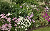 Wide border of many varieties of herbaeous perennials in colour comination theme