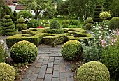 Knot Garden Parterre Topiary