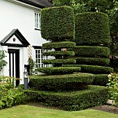 Black and Whitte cottage with clipped Yew Topiary