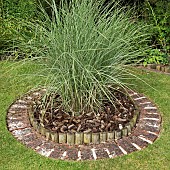 Lawn with feature Ornamental Grass variegated Miscanthus