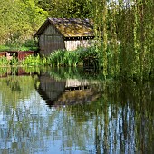Boathouse with Weeping Willow tree lined River Sow