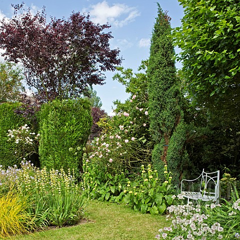 Borders_of_herbaceous_perennials_backed_by_mature_trees