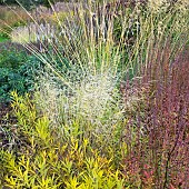 Stunning explosion of Autumn colour from mixed borders from a wide variety of perennials and ornamental grasses