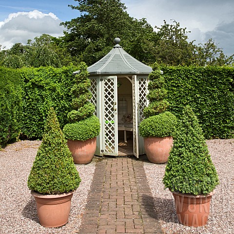 Pyramid_and_twisted_box_Buxus_microphylla