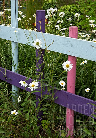 Colourfull_wooden_garden_fence