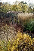 Stunning explosion of Autumn colour from Perennials and Ornamental grasses