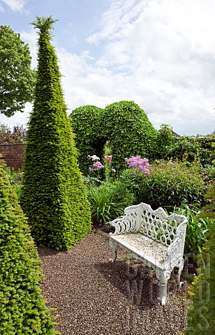 White_ornate_metal_bench_on_gravel_path_herbaceous_borders_tall_yew_pyramids