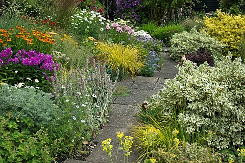 Summer_Garden_Phlox_Euonymous_Rudbeckia_Ornamental_Grasses_Clematis_and_Roses