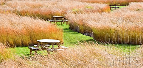 Rivers_of_grass_stunning_golden_colour_in_late_autumn