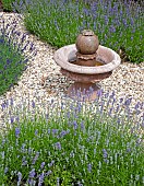 Lavender planted at four corners of gravel area with
