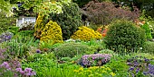 Summer Border create patchwork of colour