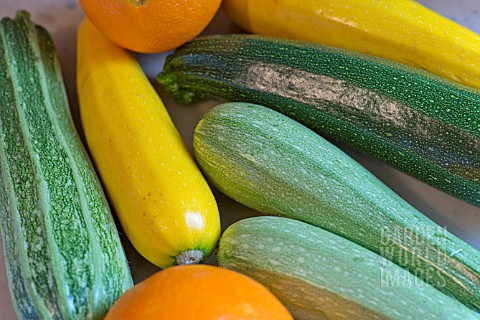 COURGETTES_AND_ORANGES